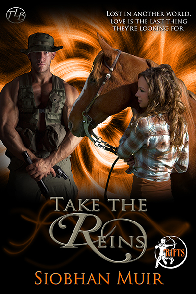 The Valkyrie's Sword (Warbler Peninsula Series
