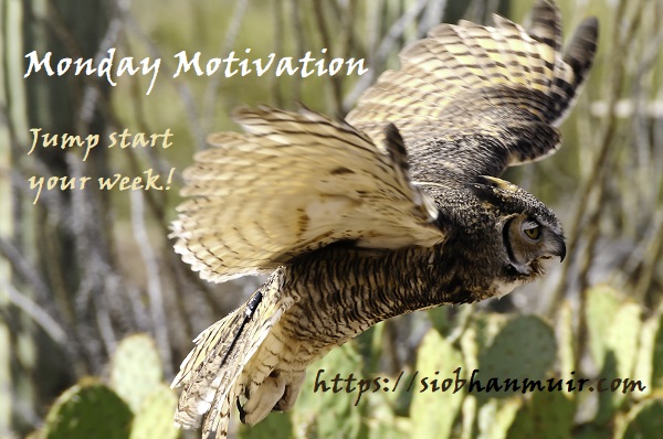Great Horned Owl taking flight from Prickly Pear cactus pads. Text: Monday Motivation: Jumpstart your week! https://siobhanmuir.com