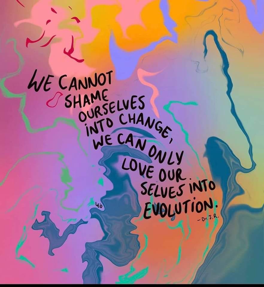 We Cannot Shame Ourselves into Change, We can Only Love Ourselves into Evolution